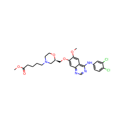 COC(=O)CCCCN1CCO[C@@H](COc2cc3ncnc(Nc4ccc(Cl)c(Cl)c4)c3cc2OC)C1 ZINC000114821118