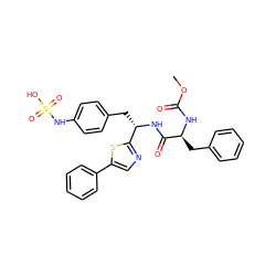 COC(=O)N[C@@H](Cc1ccccc1)C(=O)N[C@@H](Cc1ccc(NS(=O)(=O)O)cc1)c1ncc(-c2ccccc2)s1 ZINC000116903421