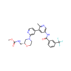 COC(=O)NC[C@@H]1CN(c2cc(-c3cc(NC(=O)c4cccc(C(F)(F)F)c4)cnc3C)ccn2)CCO1 ZINC000220738954