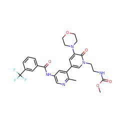 COC(=O)NCCn1cc(-c2cc(NC(=O)c3cccc(C(F)(F)F)c3)cnc2C)cc(N2CCOCC2)c1=O ZINC000220739693