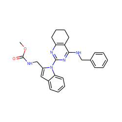 COC(=O)NCc1cc2ccccc2n1-c1nc2c(c(NCc3ccccc3)n1)CCCC2 ZINC000218995007