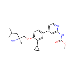 COC(=O)Nc1cc(-c2ccc(OC[C@@](C)(N)CC(C)C)c(C3CC3)c2)ccn1 ZINC001772644612