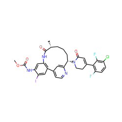 COC(=O)Nc1cc2c(cc1I)-c1ccnc(c1)[C@@H](N1CCC(c3c(F)ccc(Cl)c3F)=CC1=O)CCC[C@@H](C)C(=O)N2 ZINC000220111482