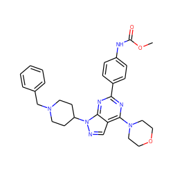 COC(=O)Nc1ccc(-c2nc(N3CCOCC3)c3cnn(C4CCN(Cc5ccccc5)CC4)c3n2)cc1 ZINC000049088341