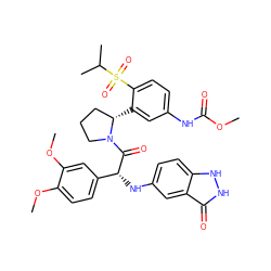 COC(=O)Nc1ccc(S(=O)(=O)C(C)C)c([C@H]2CCCN2C(=O)[C@H](Nc2ccc3[nH][nH]c(=O)c3c2)c2ccc(OC)c(OC)c2)c1 ZINC000164314869
