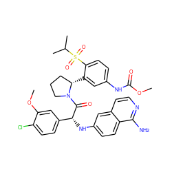 COC(=O)Nc1ccc(S(=O)(=O)C(C)C)c([C@H]2CCCN2C(=O)[C@H](Nc2ccc3c(N)nccc3c2)c2ccc(Cl)c(OC)c2)c1 ZINC000150601774