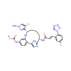 COC(=O)Nc1ccc2c(c1)N[C@H](c1nn(N)cc1Cl)CCCC[C@H](NC(=O)/C=C/c1cc(Cl)ccc1-n1cnnn1)c1ncc-2[nH]1 ZINC000230573571