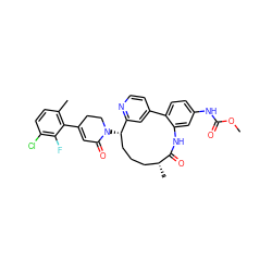 COC(=O)Nc1ccc2c(c1)NC(=O)[C@H](C)CCC[C@H](N1CCC(c3c(C)ccc(Cl)c3F)=CC1=O)c1cc-2ccn1 ZINC000208159611