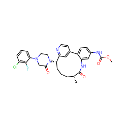 COC(=O)Nc1ccc2c(c1)NC(=O)[C@H](C)CCC[C@H](N1CCN(c3cccc(Cl)c3F)CC1=O)c1cc-2ccn1 ZINC000169710300