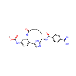 COC(=O)Nc1ccc2c(c1)NC(=O)CCCC[C@H](NC(=O)c1ccc(C(=N)N)cc1)c1ncc-2[nH]1 ZINC000230572772