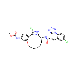 COC(=O)Nc1ccc2c(c1)OCCCCC[C@H](NC(=O)/C=C/c1cc(Cl)ccc1-n1cnnn1)c1nc-2c(Cl)[nH]1 ZINC000198858584