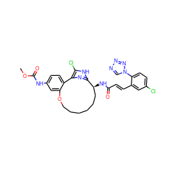 COC(=O)Nc1ccc2c(c1)OCCCCCC[C@H](NC(=O)/C=C/c1cc(Cl)ccc1-n1cnnn1)c1nc-2c(Cl)[nH]1 ZINC000114228775