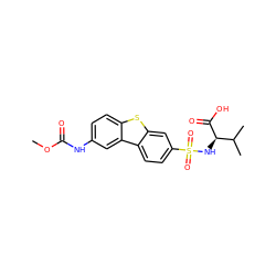 COC(=O)Nc1ccc2sc3cc(S(=O)(=O)N[C@@H](C(=O)O)C(C)C)ccc3c2c1 ZINC000043080681