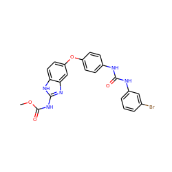 COC(=O)Nc1nc2cc(Oc3ccc(NC(=O)Nc4cccc(Br)c4)cc3)ccc2[nH]1 ZINC000014965489