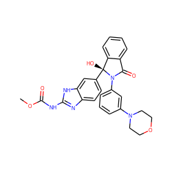 COC(=O)Nc1nc2ccc([C@]3(O)c4ccccc4C(=O)N3c3cccc(N4CCOCC4)c3)cc2[nH]1 ZINC000226069946