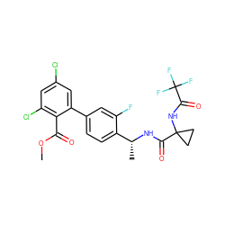 COC(=O)c1c(Cl)cc(Cl)cc1-c1ccc([C@@H](C)NC(=O)C2(NC(=O)C(F)(F)F)CC2)c(F)c1 ZINC000028822407