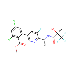 COC(=O)c1c(Cl)cc(Cl)cc1-c1cnc([C@@H](C)NC(=O)[C@@](C)(O)C(F)(F)F)c(F)c1 ZINC000029128529