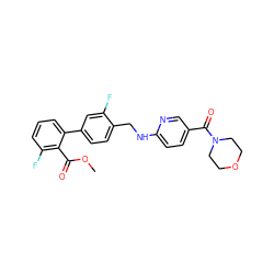 COC(=O)c1c(F)cccc1-c1ccc(CNc2ccc(C(=O)N3CCOCC3)cn2)c(F)c1 ZINC000036161555