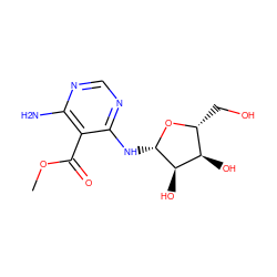 COC(=O)c1c(N)ncnc1N[C@@H]1O[C@H](CO)[C@@H](O)[C@H]1O ZINC000026479141