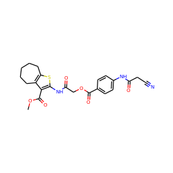 COC(=O)c1c(NC(=O)COC(=O)c2ccc(NC(=O)CC#N)cc2)sc2c1CCCCC2 ZINC000009509876