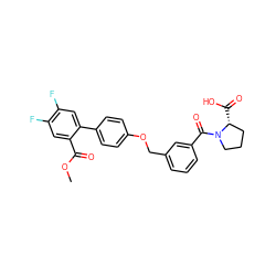 COC(=O)c1cc(F)c(F)cc1-c1ccc(OCc2cccc(C(=O)N3CCC[C@H]3C(=O)O)c2)cc1 ZINC000224590254