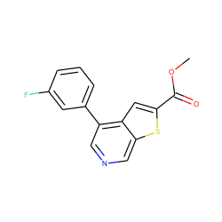 COC(=O)c1cc2c(-c3cccc(F)c3)cncc2s1 ZINC000063539252