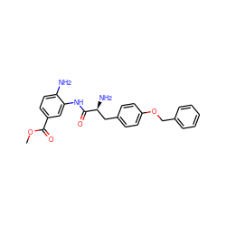 COC(=O)c1ccc(N)c(NC(=O)[C@@H](N)Cc2ccc(OCc3ccccc3)cc2)c1 ZINC000299863947