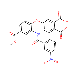 COC(=O)c1ccc(Oc2ccc(C(=O)O)c(C(=O)O)c2)c(NC(=O)c2cccc([N+](=O)[O-])c2)c1 ZINC000001550716