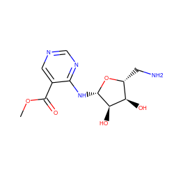 COC(=O)c1cncnc1N[C@@H]1O[C@H](CN)[C@@H](O)[C@H]1O ZINC000003826247