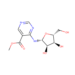 COC(=O)c1cncnc1N[C@@H]1O[C@H](CO)[C@@H](O)[C@H]1O ZINC000026475900