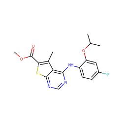 COC(=O)c1sc2ncnc(Nc3ccc(F)cc3OC(C)C)c2c1C ZINC000096167852