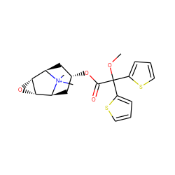 COC(C(=O)O[C@@H]1C[C@H]2[C@@H]3O[C@@H]3[C@@H](C1)[N+]2(C)C)(c1cccs1)c1cccs1 ZINC000103242109