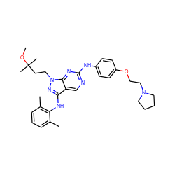 COC(C)(C)CCn1nc(Nc2c(C)cccc2C)c2cnc(Nc3ccc(OCCN4CCCC4)cc3)nc21 ZINC000044360798