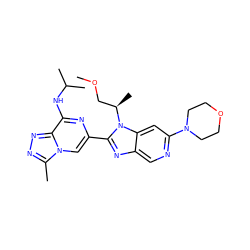 COC[C@@H](C)n1c(-c2cn3c(C)nnc3c(NC(C)C)n2)nc2cnc(N3CCOCC3)cc21 ZINC001772640800