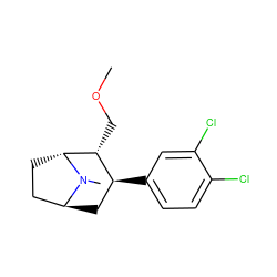 COC[C@@H]1[C@@H](c2ccc(Cl)c(Cl)c2)C[C@H]2CC[C@H]1N2C ZINC000100987080