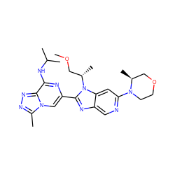 COC[C@H](C)n1c(-c2cn3c(C)nnc3c(NC(C)C)n2)nc2cnc(N3CCOC[C@@H]3C)cc21 ZINC001772653375