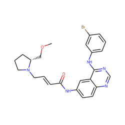 COC[C@H]1CCCN1C/C=C/C(=O)Nc1ccc2ncnc(Nc3cccc(Br)c3)c2c1 ZINC000013863675