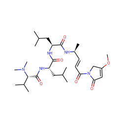COC1=CC(=O)N(C(=O)/C=C/[C@H](C)NC(=O)[C@H](CC(C)C)NC(=O)[C@H](CC(C)C)NC(=O)[C@H](C(C)C)N(C)C)C1 ZINC000299833417