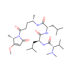 COC1=CC(=O)N(C(=O)CC[C@H](C)NC(=O)[C@H](CC(C)C)NC(=O)[C@H](CC(C)C)NC(=O)[C@H](C(C)C)N(C)C)[C@H]1C ZINC000299840330