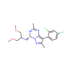 COCC(COC)N[C@@H]1NC(C)=Nc2c(-c3ccc(Cl)cc3Cl)c(C)nn21 ZINC000049070823