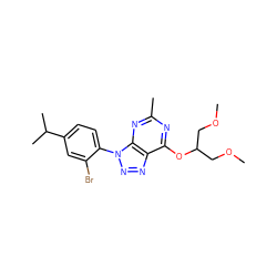 COCC(COC)Oc1nc(C)nc2c1nnn2-c1ccc(C(C)C)cc1Br ZINC000013794917