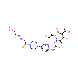 COCCCNCC(=O)N1CCN(c2ccc(Nc3ncc4c(C)c(C(C)=O)c(=O)n(C5CCCC5)c4n3)nc2)CC1 ZINC001772647692