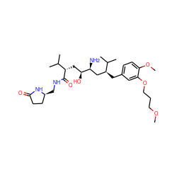 COCCCOc1cc(C[C@@H](C[C@H](N)[C@@H](O)C[C@H](C(=O)NC[C@H]2CCC(=O)N2)C(C)C)C(C)C)ccc1OC ZINC000014967717