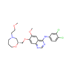 COCCN1CCCO[C@@H](COc2cc3ncnc(Nc4ccc(Cl)c(Cl)c4)c3cc2OC)C1 ZINC000114820882