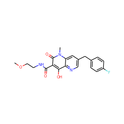 COCCNC(=O)c1c(O)c2ncc(Cc3ccc(F)cc3)cc2n(C)c1=O ZINC000102220343