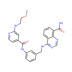 COCCNc1cc(C(=O)Nc2cccc(CNc3ncnc4c(C(N)=O)cccc34)c2)ccn1 ZINC000166986190