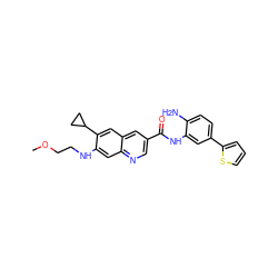 COCCNc1cc2ncc(C(=O)Nc3cc(-c4cccs4)ccc3N)cc2cc1C1CC1 ZINC000148222900