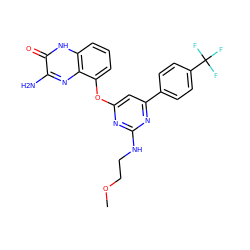 COCCNc1nc(Oc2cccc3[nH]c(=O)c(N)nc23)cc(-c2ccc(C(F)(F)F)cc2)n1 ZINC000040953512