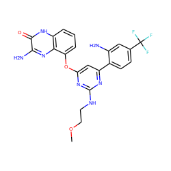 COCCNc1nc(Oc2cccc3[nH]c(=O)c(N)nc23)cc(-c2ccc(C(F)(F)F)cc2N)n1 ZINC000040401931