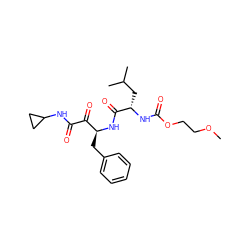 COCCOC(=O)N[C@@H](CC(C)C)C(=O)N[C@@H](Cc1ccccc1)C(=O)C(=O)NC1CC1 ZINC000040916797